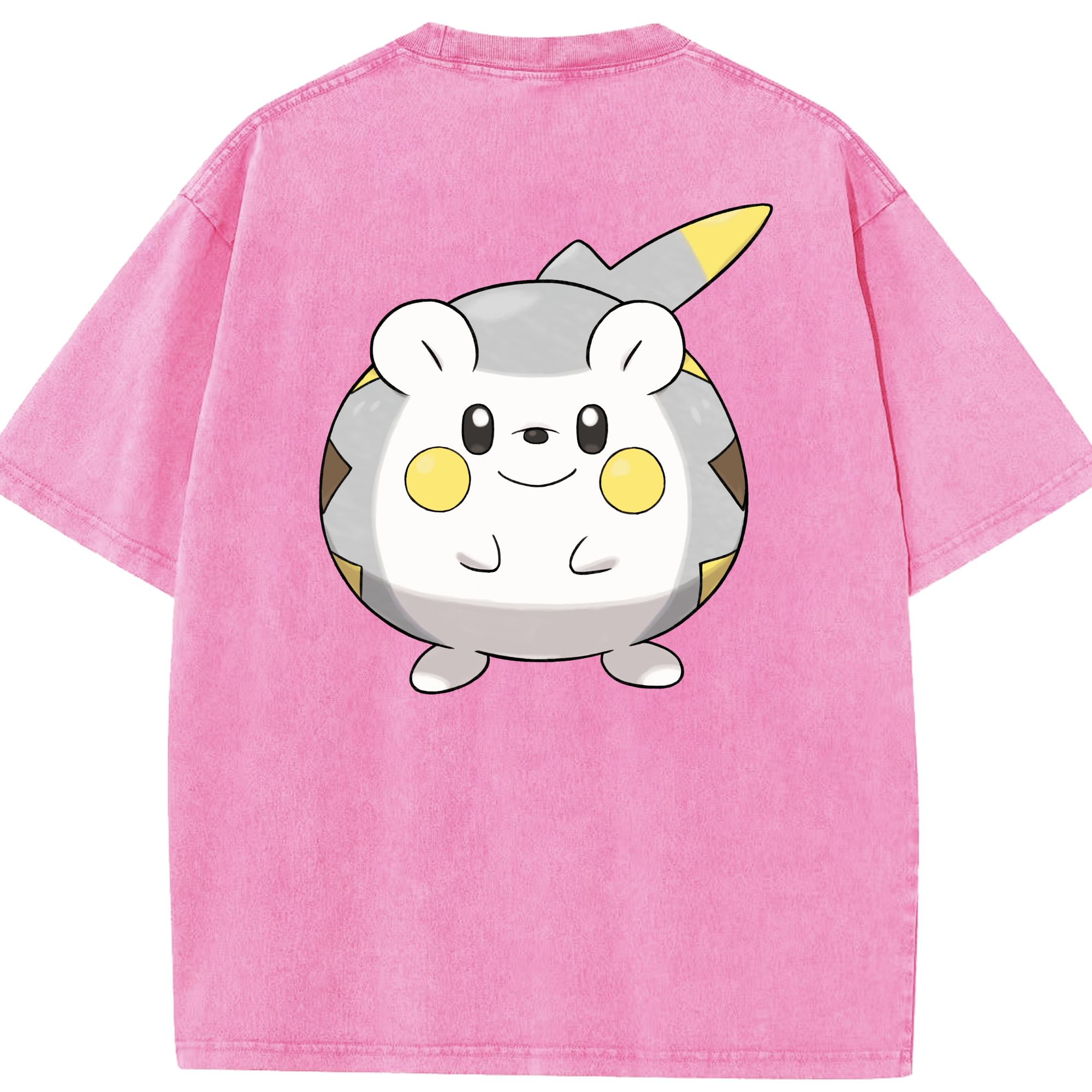 （画像用） ポケットモンスター Pokémon 綿100% ヴィンテージ風 半袖Tシャツ（背面プリント）